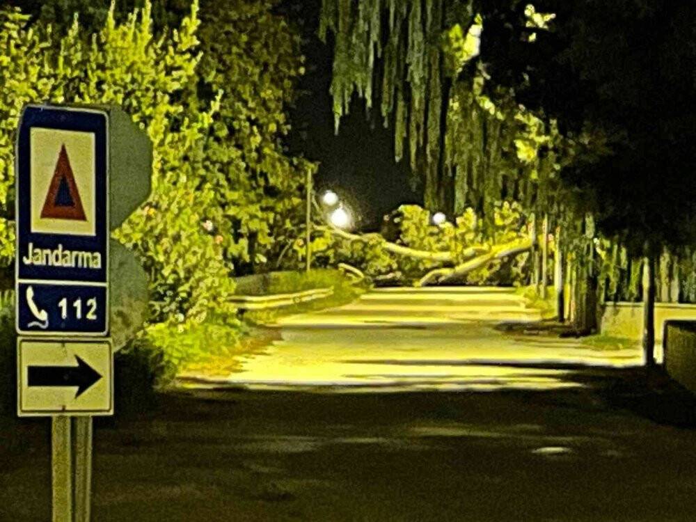 Bursa’da kavak ağacı yıkıldı, ekiplerin çalışmasıyla kaldırıldı