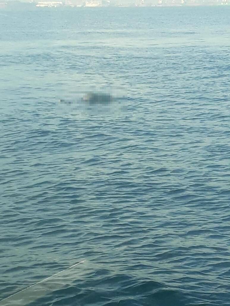 Denizde erkek cesedi bulundu