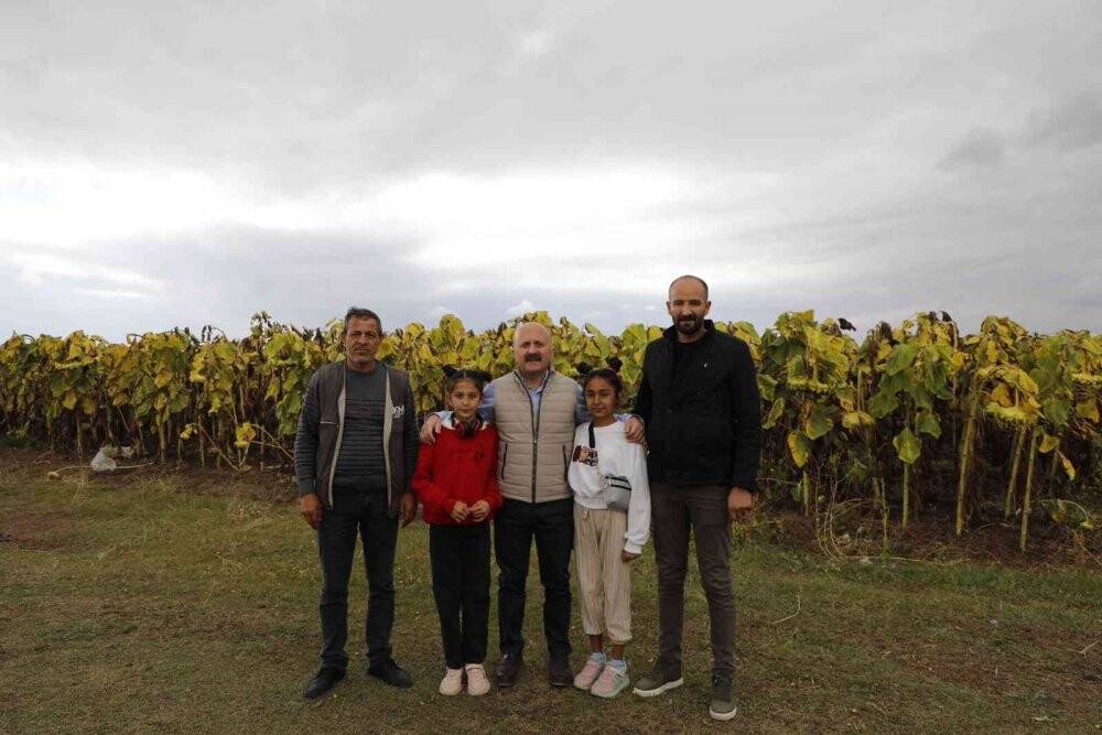 Ağrı’da ayçiçeği üreticiliği yaygınlaşıyor