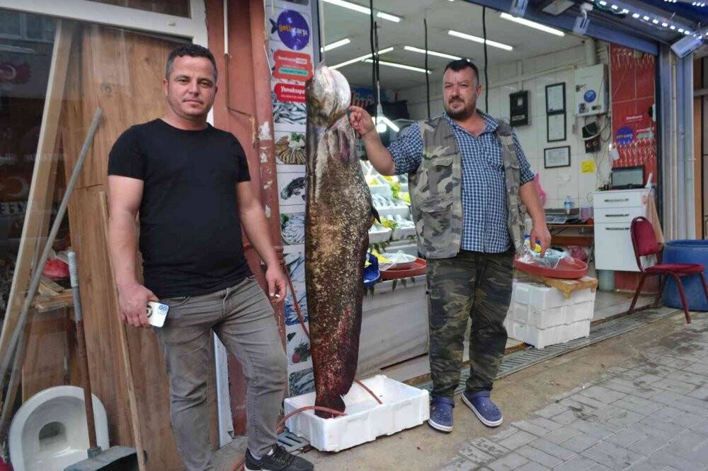 4 kişinin oltayla zor yakaladığı 80 kiloluk dev balığı görenler bakakaldı