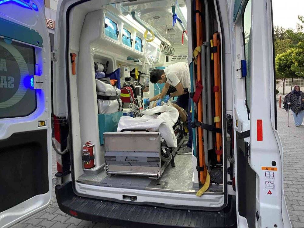 Ceviz hasadı yaparken ağaçtan düşen yaşlı adam hastanelik oldu