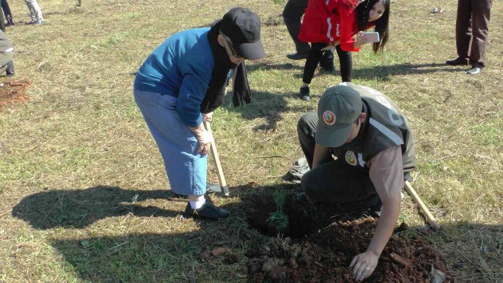 Huzurevinin çınarları, fidanları toprakla buluşturdu