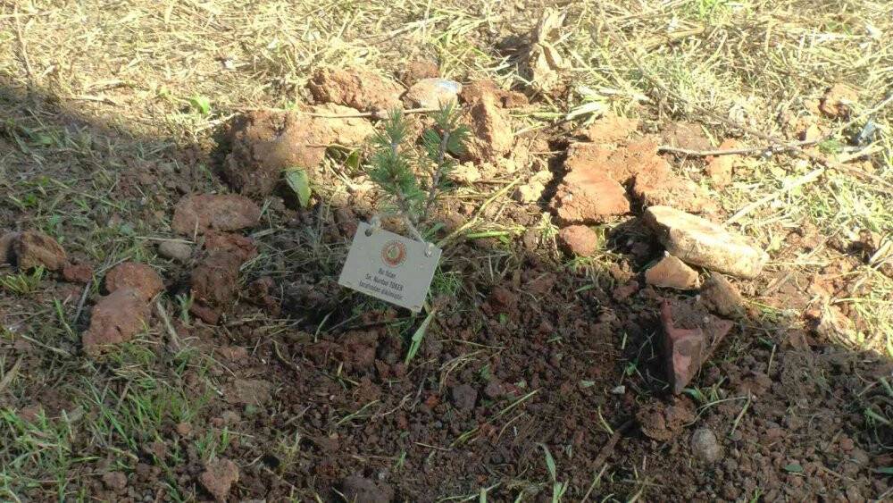 Huzurevinin çınarları, fidanları toprakla buluşturdu