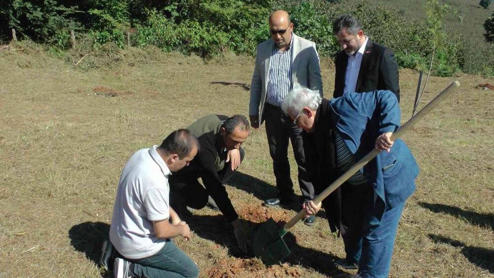 Huzurevinin çınarları, fidanları toprakla buluşturdu