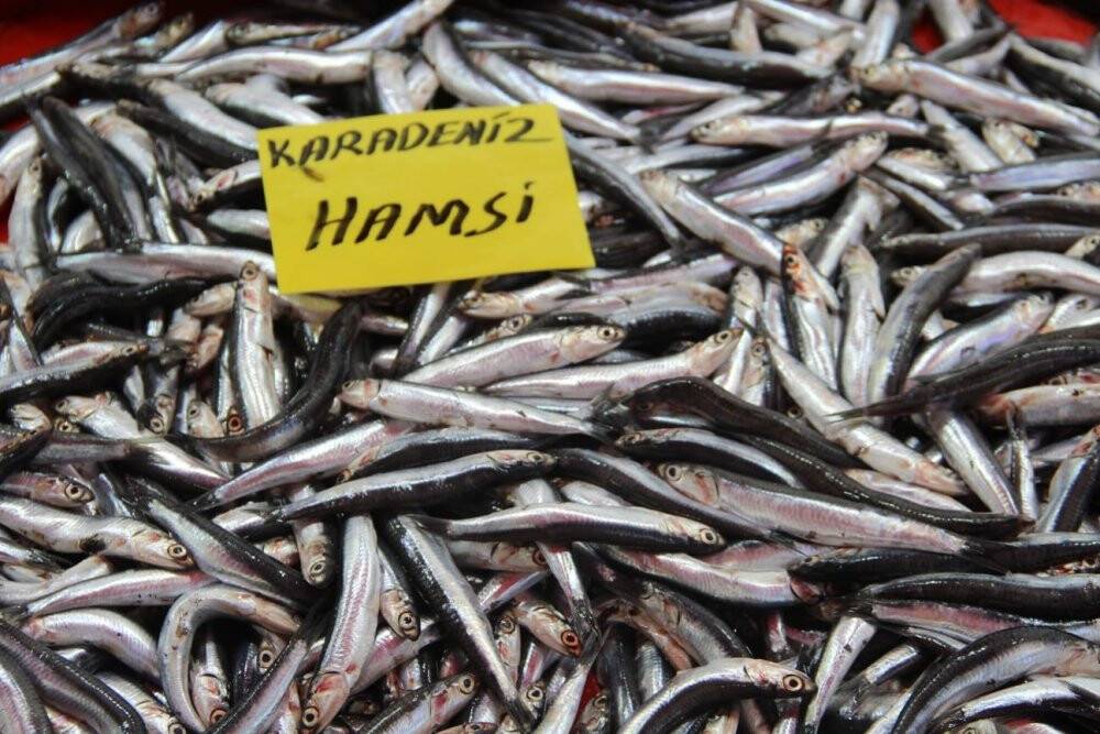 Hamsi, balık tezgahlarını süsledi
