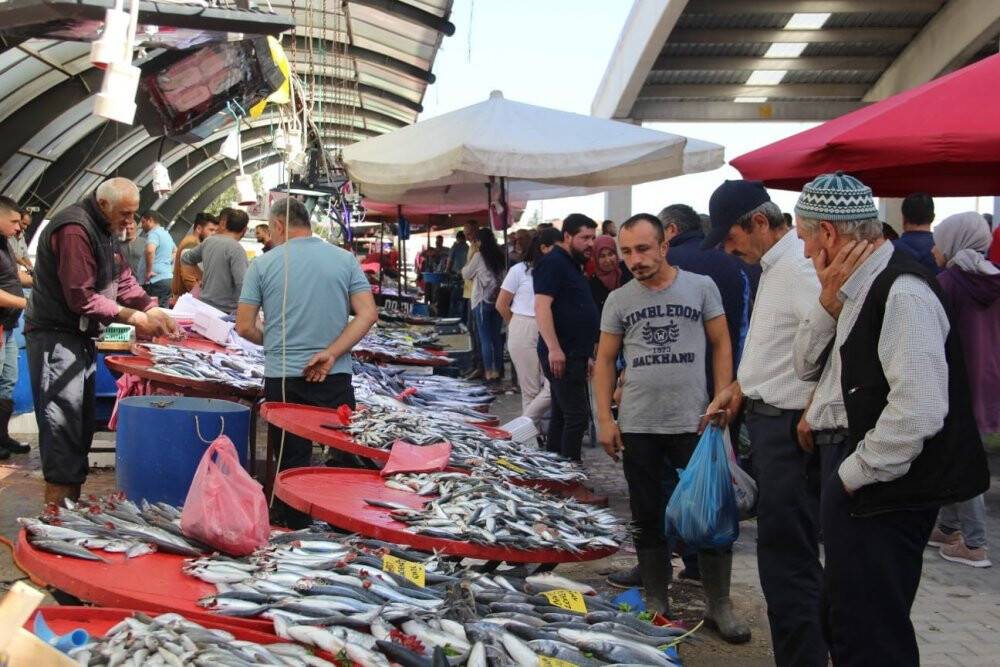 Hamsi, balık tezgahlarını süsledi