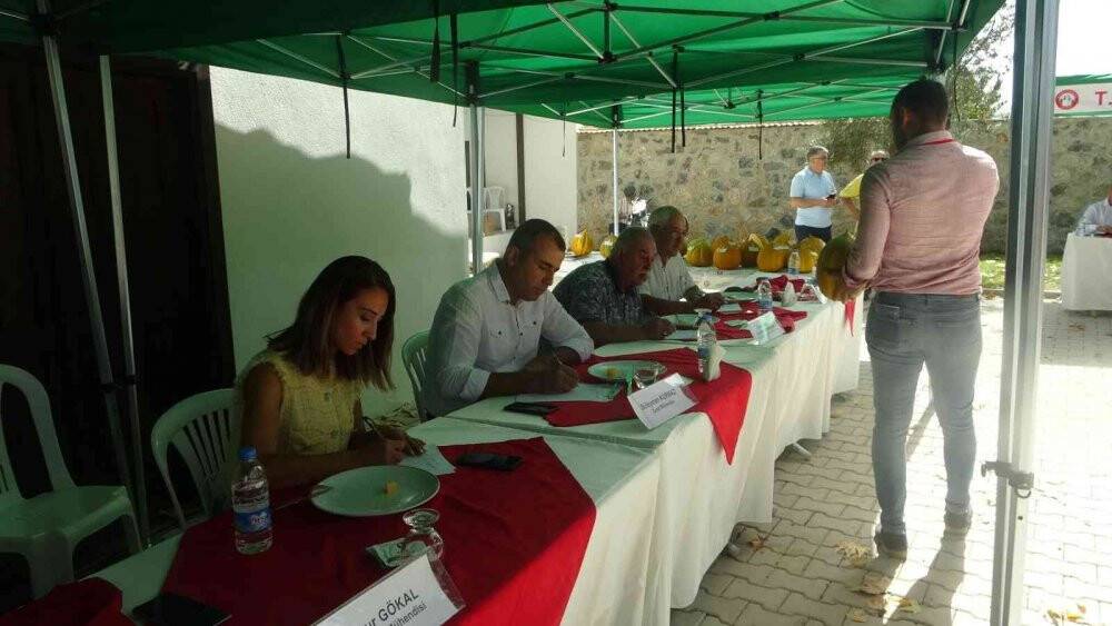 Menteşeli kavun üreticileri kıyasıya yarıştı