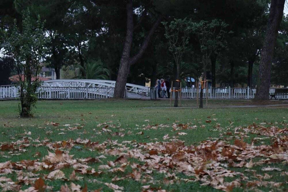 Sakarya’da sonbahar manzarası