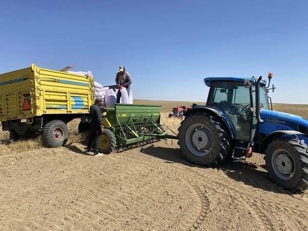 Kulu’da hububat ekimine başlandı