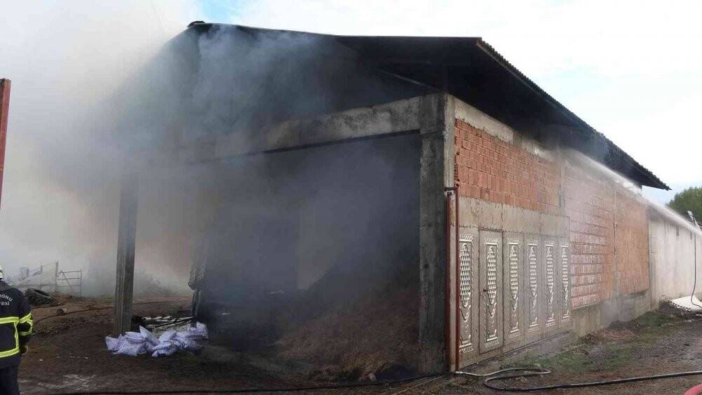 Samanlıkta çıkan yangında 2 kişi hastanelik oldu