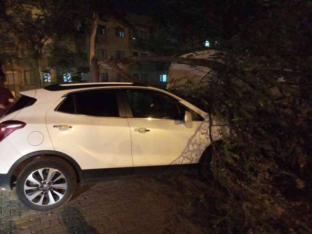 Trabzon’da şiddetli rüzgar etkili oldu