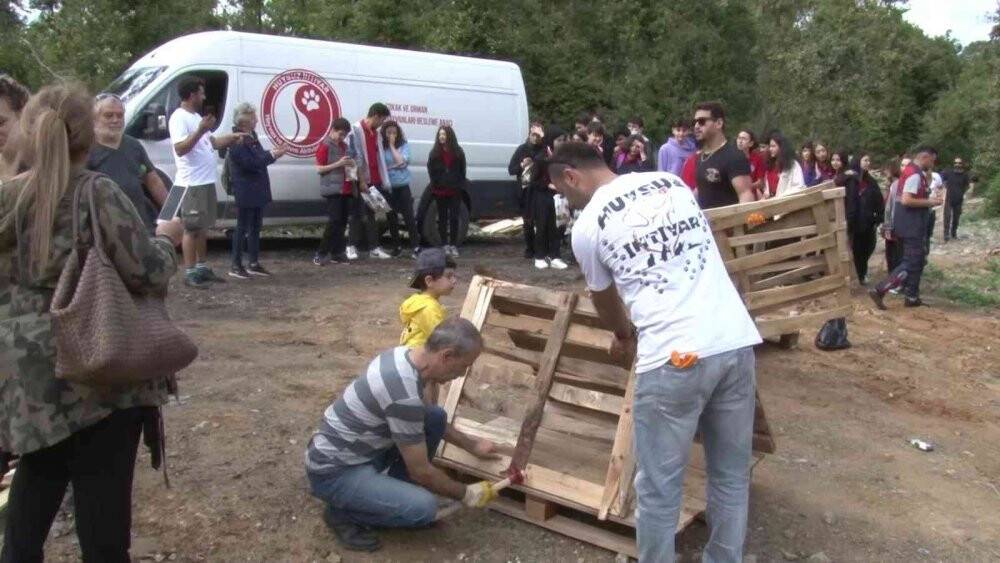 Beykozlu çocuklar sokak hayvanları için seferber oldu