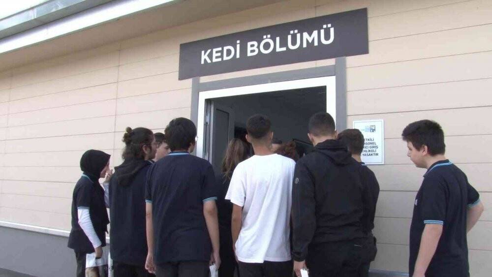 Beykozlu çocuklar sokak hayvanları için seferber oldu