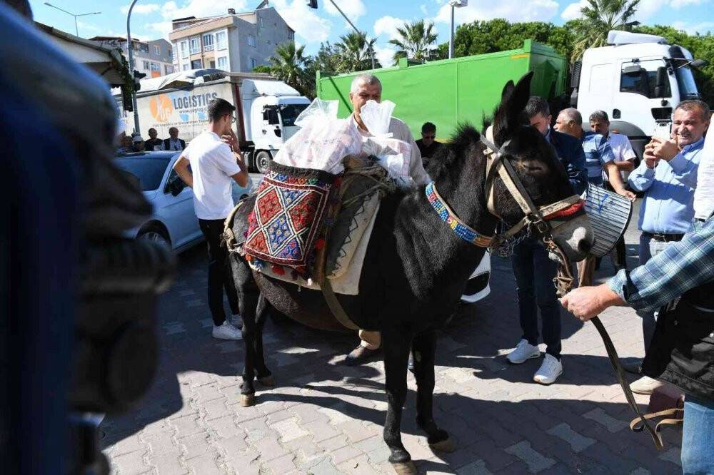 Güreş ağası, 1 milyon 17 bin TL olan ağalık parasını katırla getirdi
