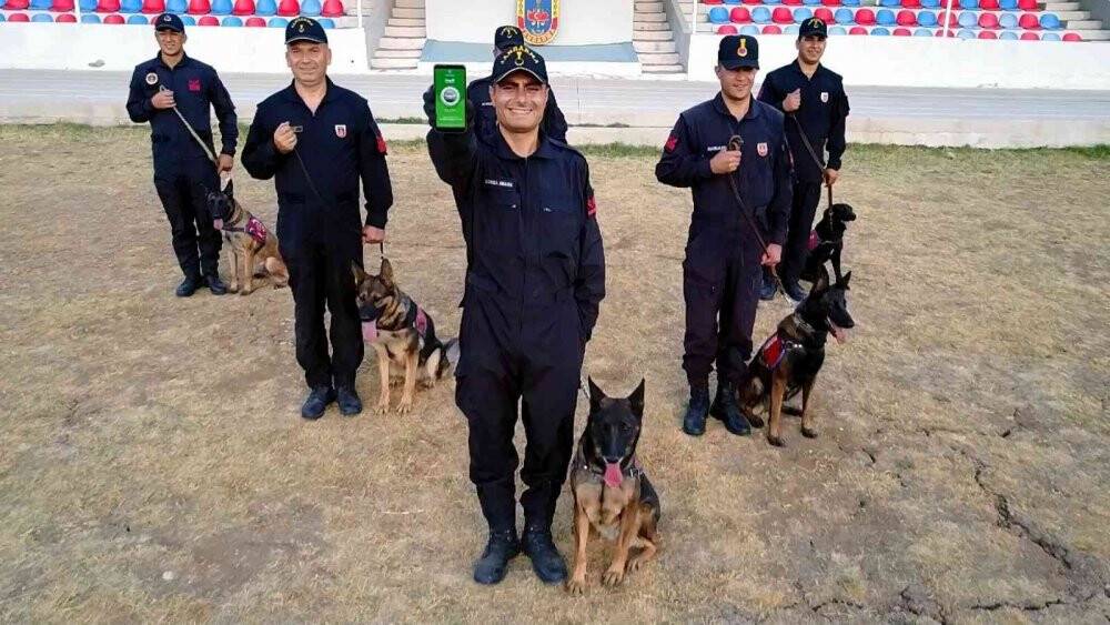 Jandarma kaçak avcılara göz açtırmıyor