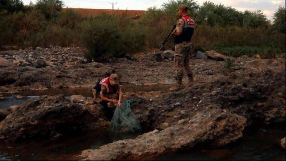 Jandarma kaçak avcılara göz açtırmıyor