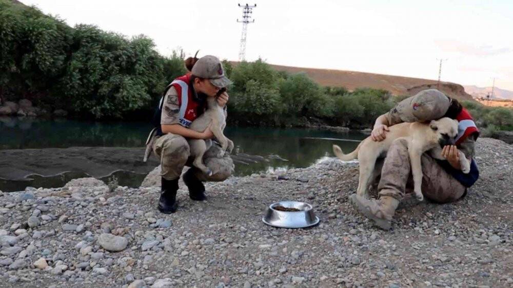 Jandarma kaçak avcılara göz açtırmıyor