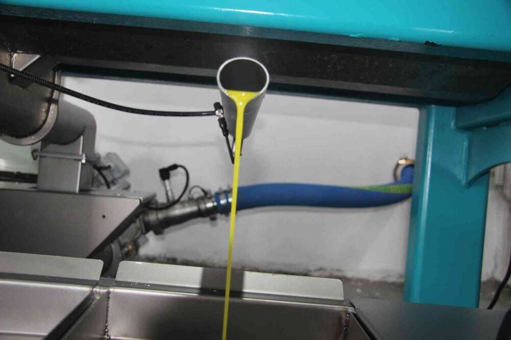 Kilis’te zeytin hasadının erken yapılmasıyla soğuk sıkım zeytinyağı üretimi de başladı