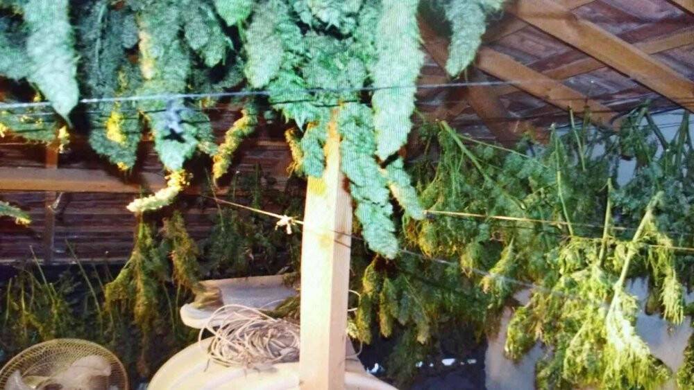 Zehir tacirlerine büyük darbe