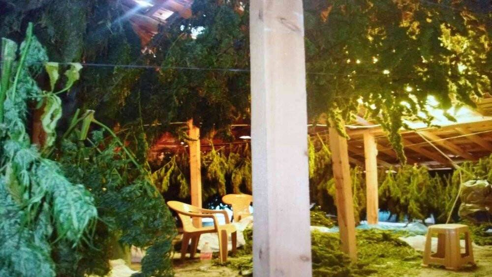 Zehir tacirlerine büyük darbe