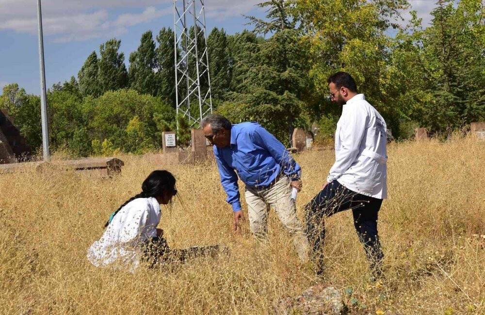 Ahlat’ta Türk büyüklerinin mezarları araştırılıyor