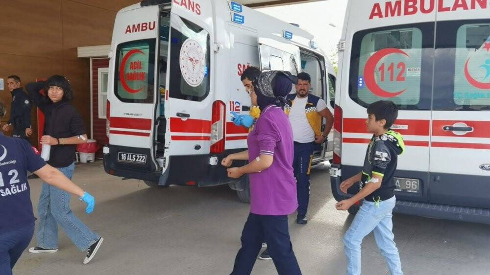 Teneffüsteki 15 öğrenciyi arılar soktu, okula 1 gün ara verildi