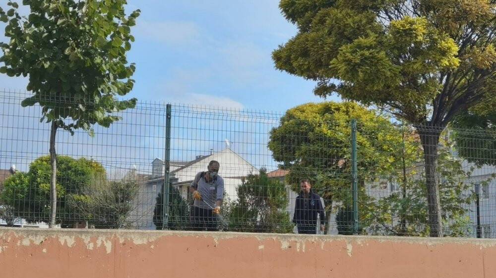 Teneffüsteki 15 öğrenciyi arılar soktu, okula 1 gün ara verildi