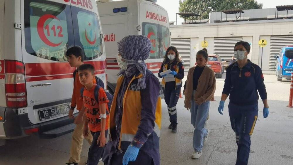 Teneffüsteki 15 öğrenciyi arılar soktu, okula 1 gün ara verildi