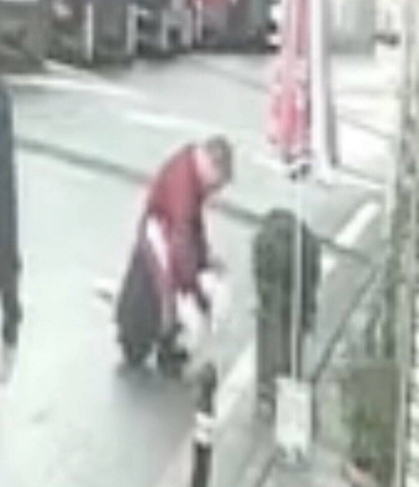 Fatih’te yavru köpeği önce sevdi, sonra çaldı