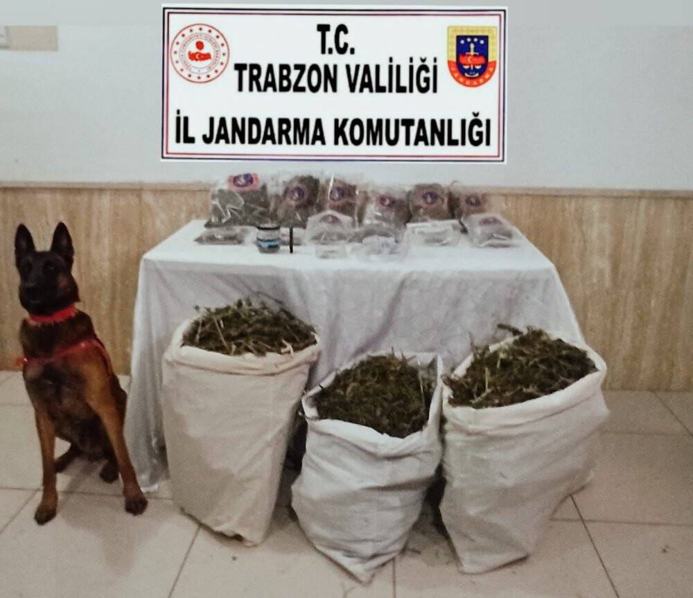 Bahçede kavanozlara saklanan uyuşturucu ‘Yatkın’dan kaçmadı