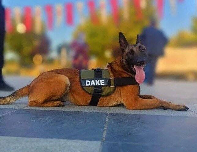 Birçok afette arama kurtarma çalışmalarına katılmıştı, kazaya kurban gitti