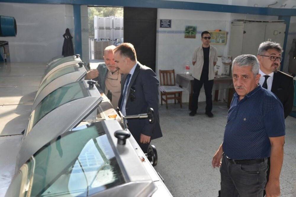 Edremit’te zeytinin, zeytinyağına yolculuğu başladı