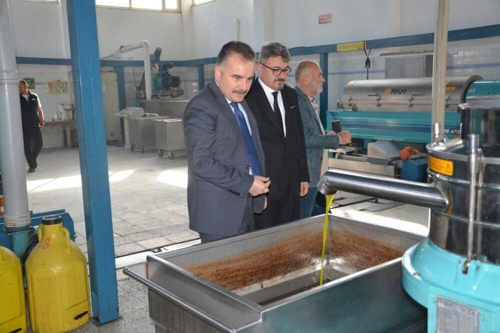 Edremit’te zeytinin, zeytinyağına yolculuğu başladı