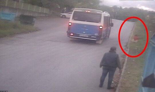 Köpeklerin saldırısına uğradı, şimdi seslerinden bile korkar hale geldi