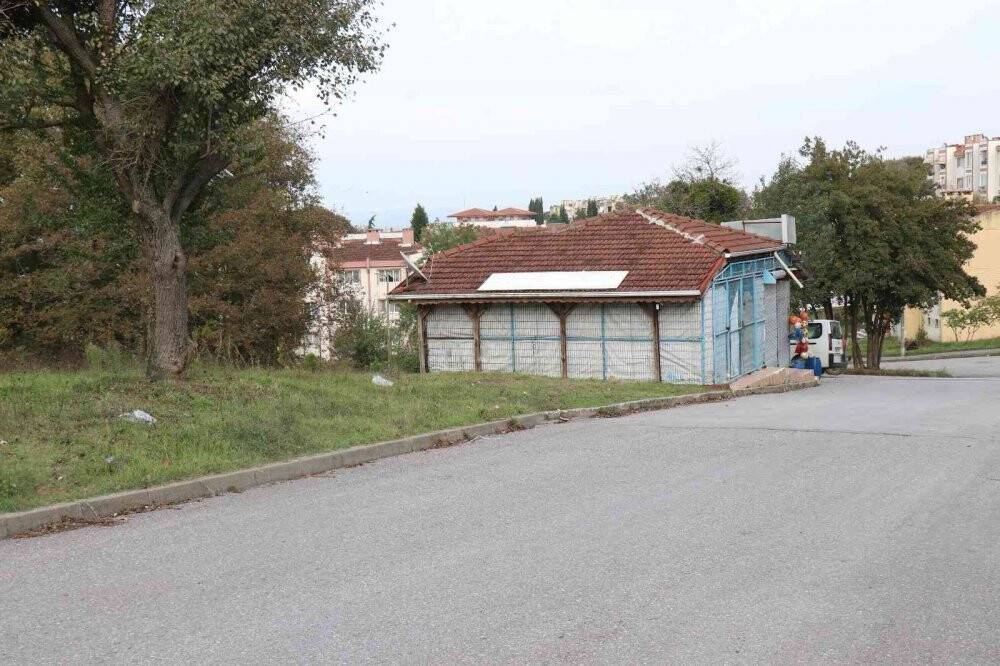 Köpeklerin saldırısına uğradı, şimdi seslerinden bile korkar hale geldi