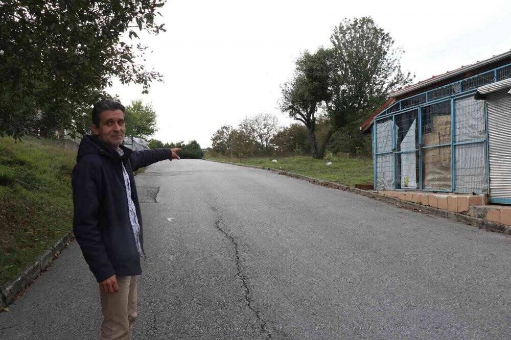 Köpeklerin saldırısına uğradı, şimdi seslerinden bile korkar hale geldi