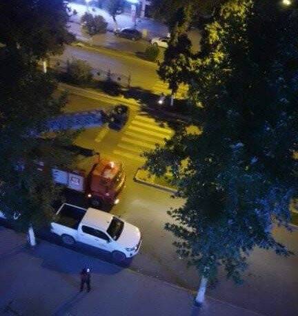 Ağaçta mahsur kalan kedi kurtarıldı