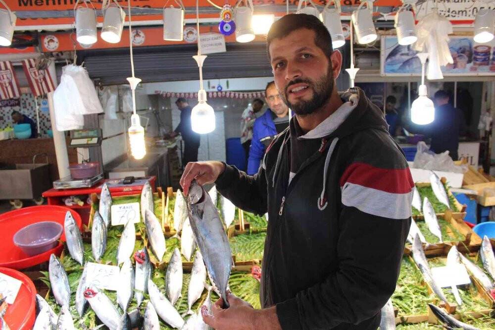 Bandırma’da palamut rekor kırdı