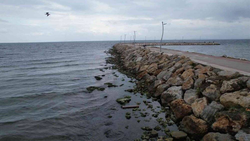 Yalova’da deniz suyu 10 metre çekildi