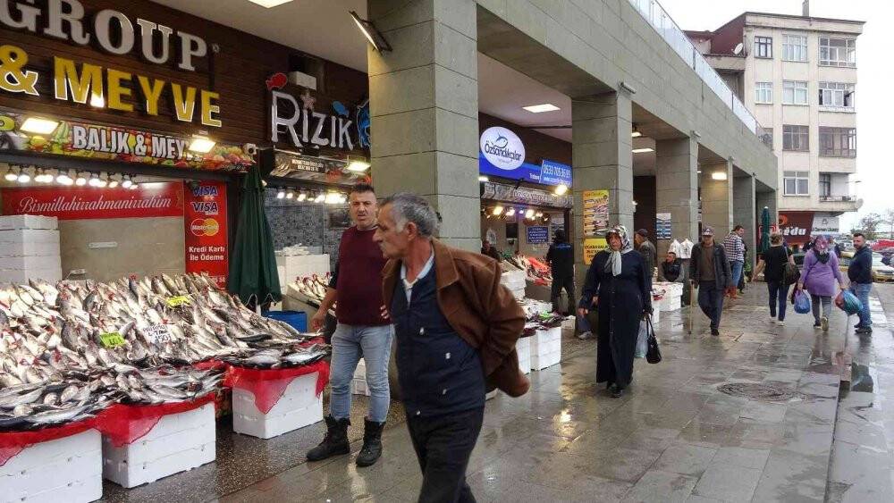 Beklenen palamut göçü gerçekleşti