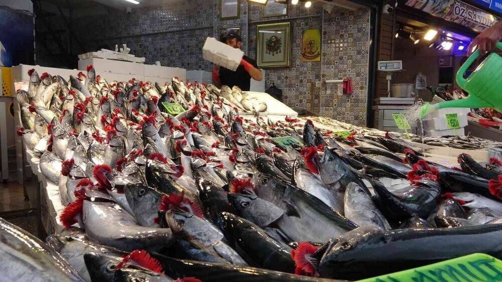 Beklenen palamut göçü gerçekleşti