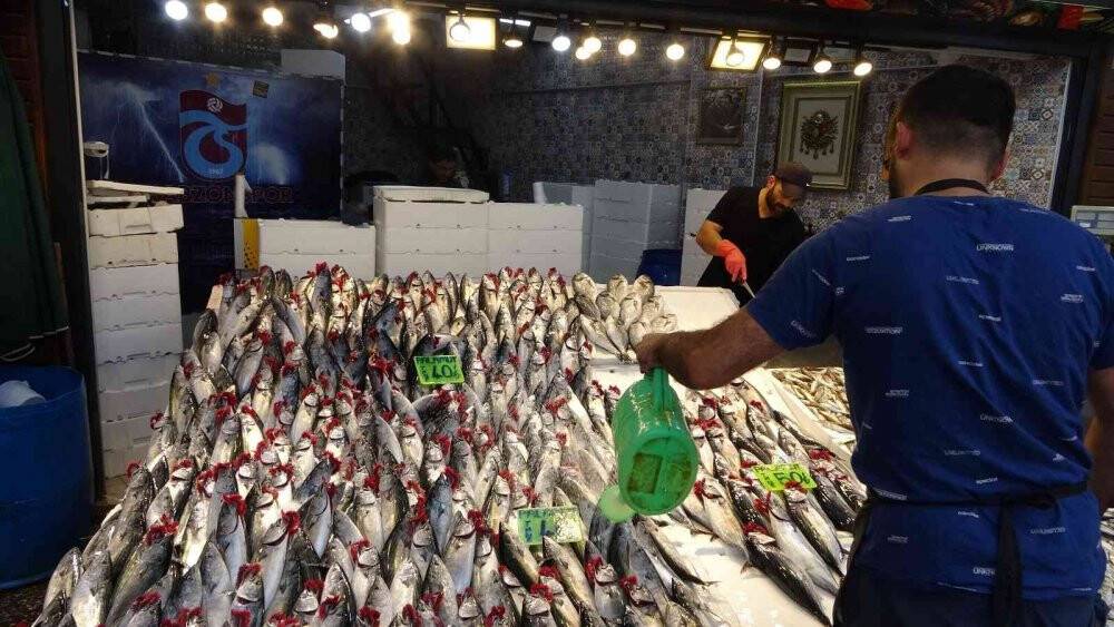 Beklenen palamut göçü gerçekleşti