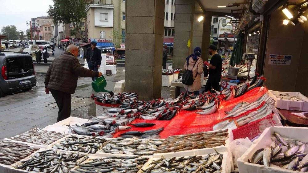 Beklenen palamut göçü gerçekleşti