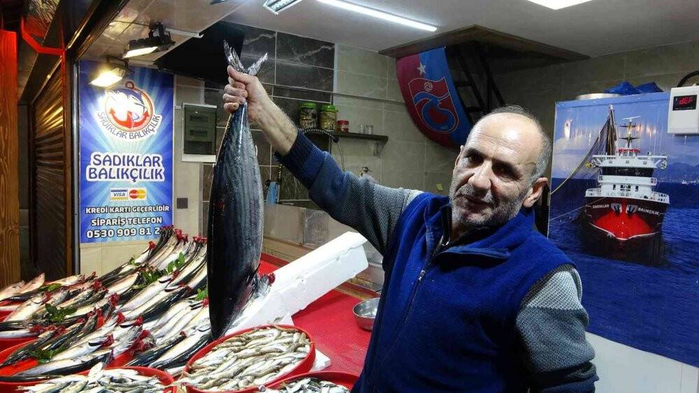 Beklenen palamut göçü gerçekleşti