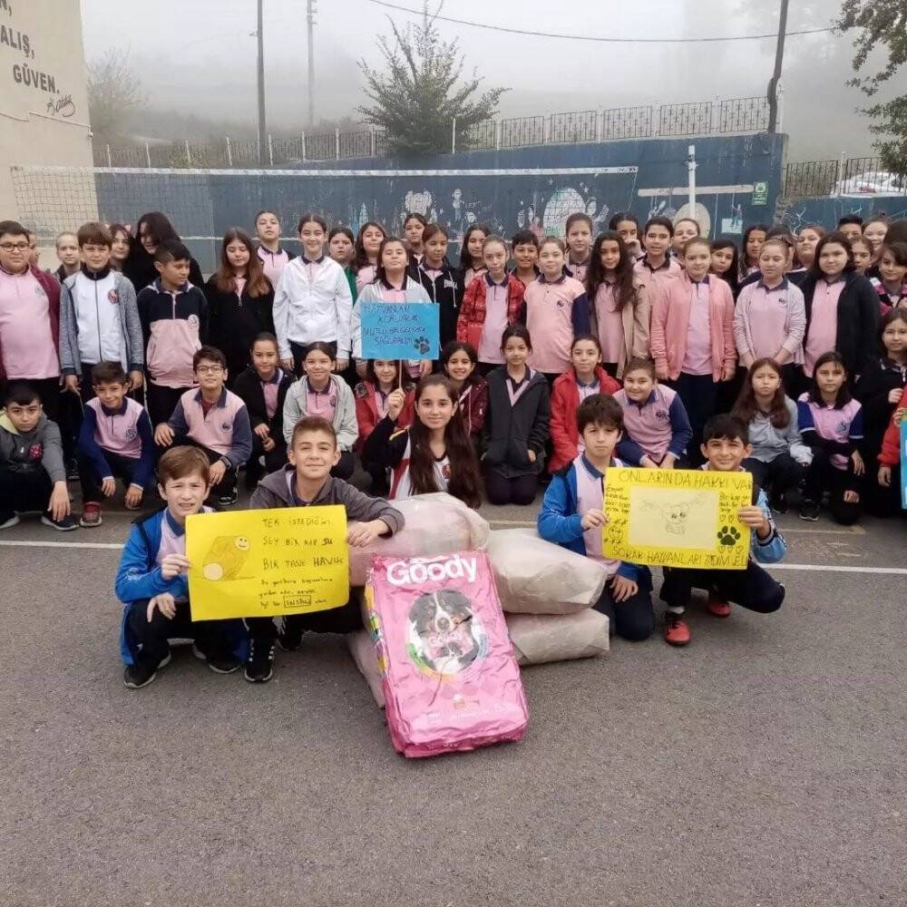 Öğrenciler sokak hayvanlarına destek oldu
