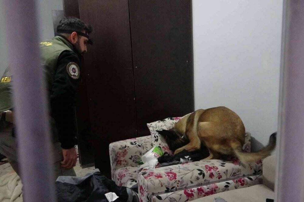 Zehir tacirlerine şafak operasyonu: 7 gözaltı