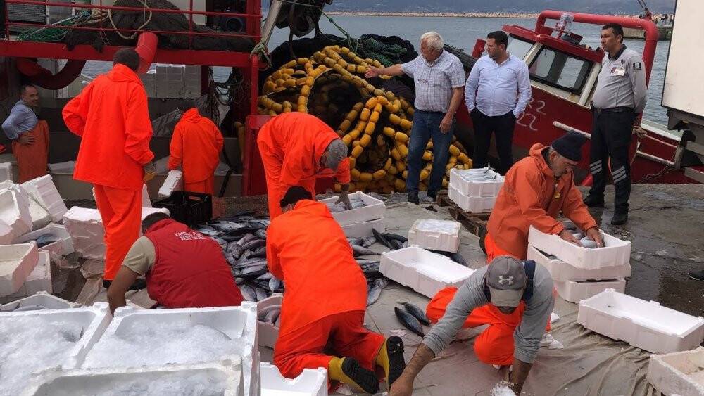 Bandırma’da palamut akını devam ediyor