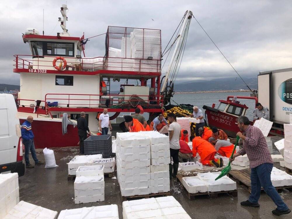 Bandırma’da palamut akını devam ediyor