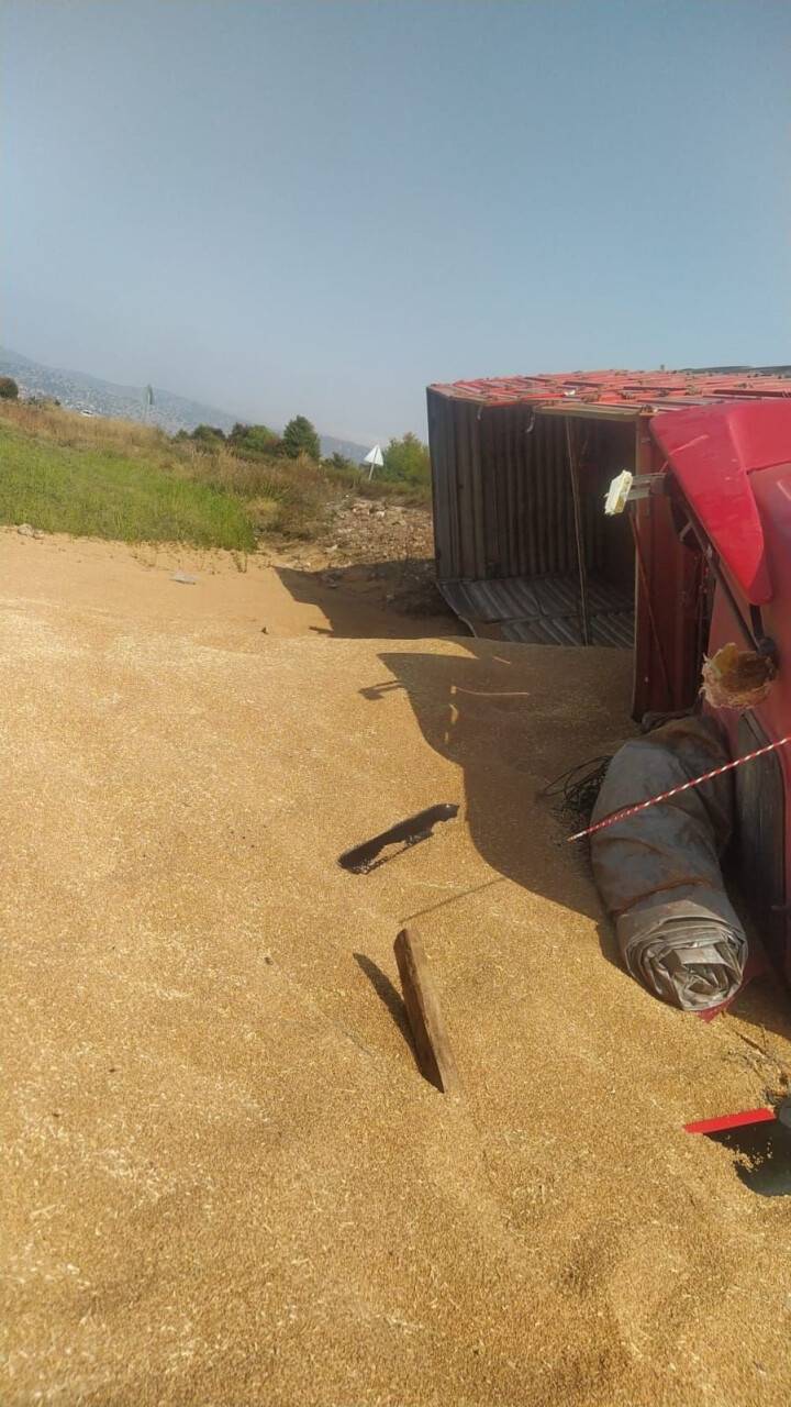 Kontrolden çıkan buğday yüklü tır şarampole devrildi