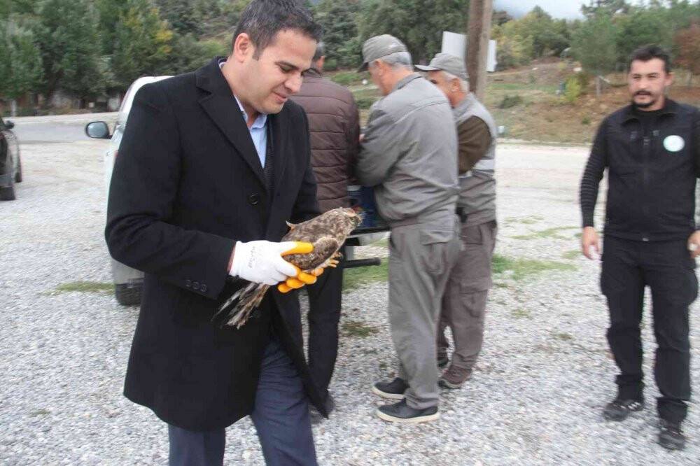 Yasa dışı canlı mühre ile avlanan şahin doğal yaşam alanına bırakıldı